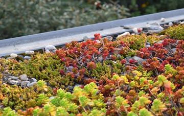 the cost of Kingskerswell green roof installation