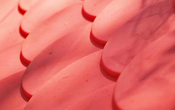 Kingskerswell plastic roof costs